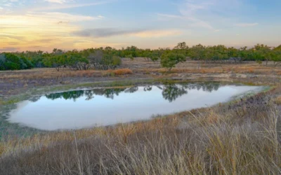 565 MIDTOWN ROAD | Blanco County