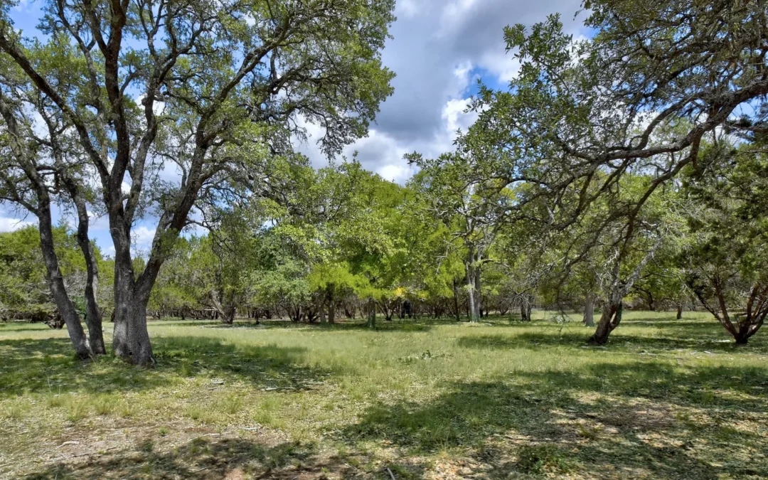 118 S VAQUERO DRIVE | Blanco County