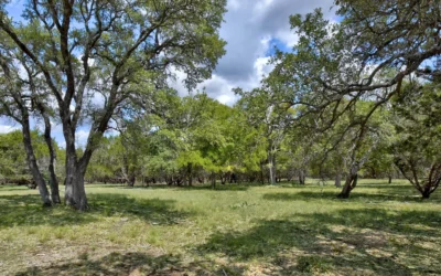 118 S VAQUERO DRIVE | Blanco County