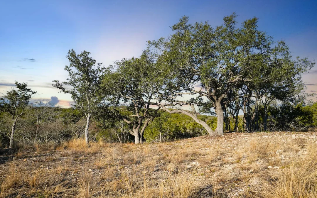 505 MIDTOWN ROAD | Blanco County