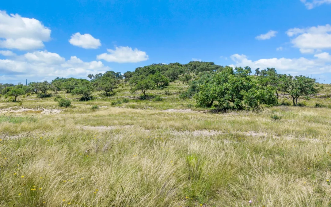 WHITETAIL SUMMIT | Blanco County