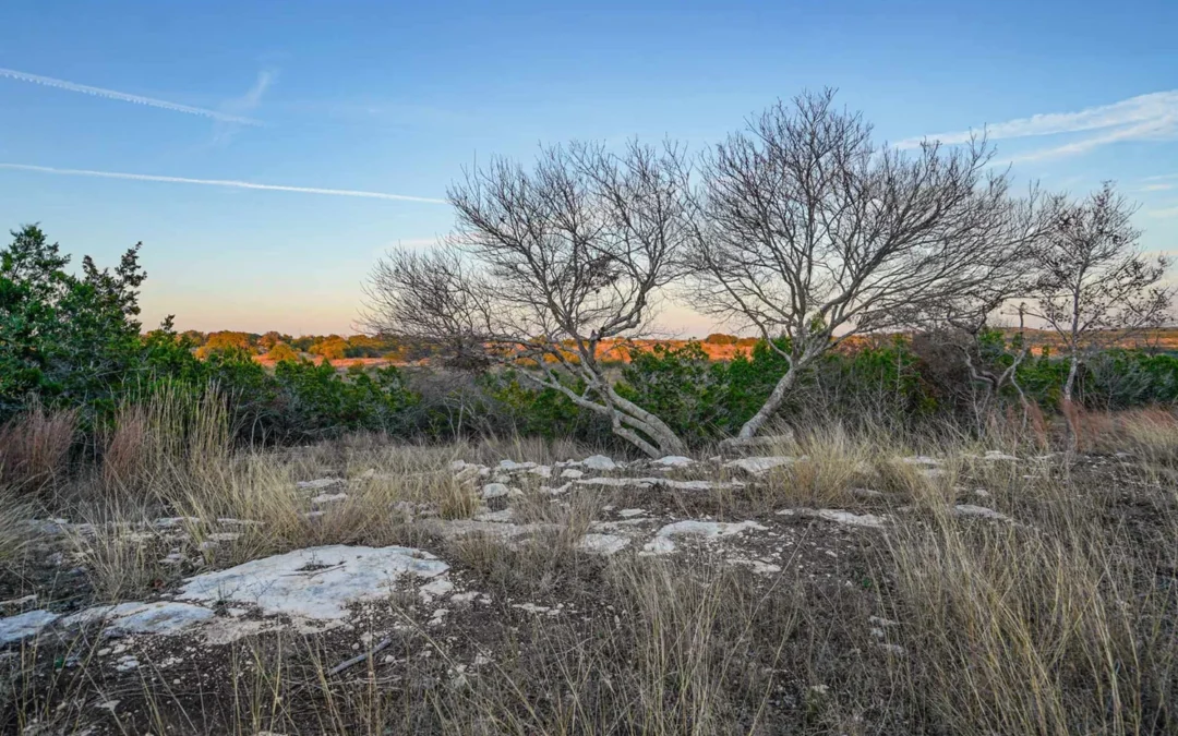 564 MIDTOWN ROAD | Blanco County