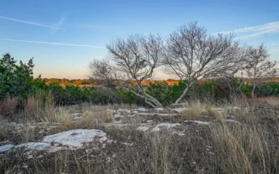 564 MIDTOWN ROAD | Blanco County