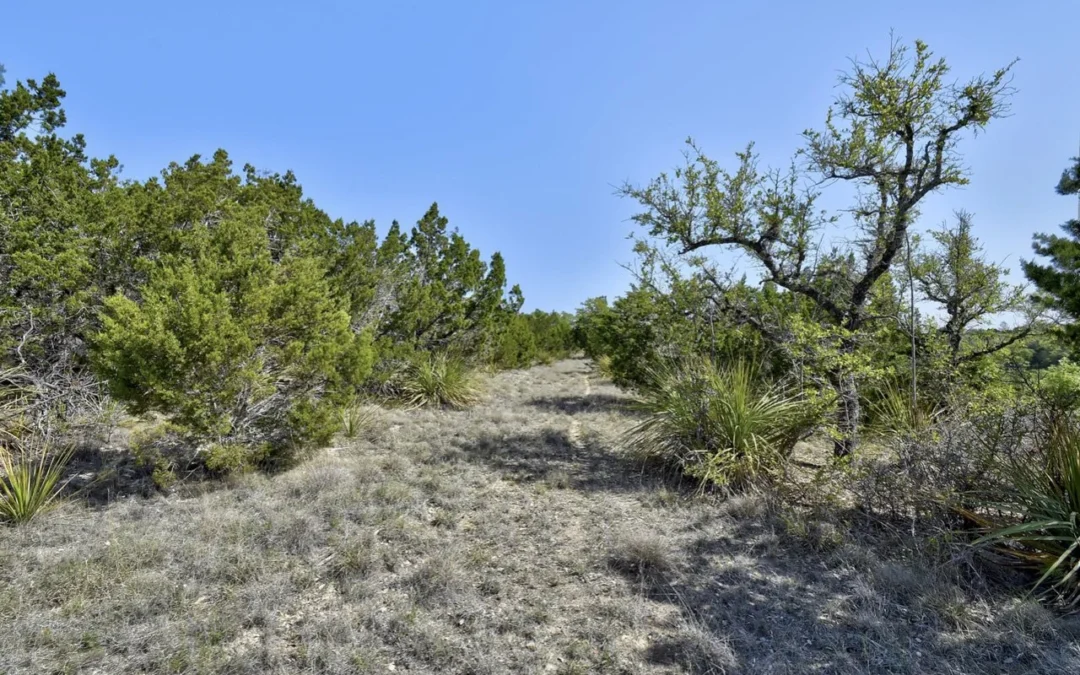 HIDDEN VALLEY TERRACE | Blanco County
