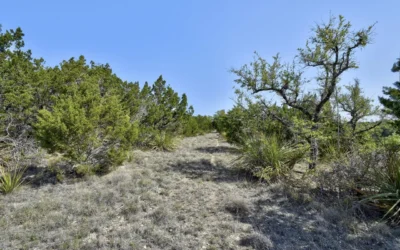 HIDDEN VALLEY TERRACE | Blanco County
